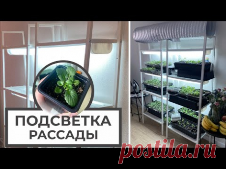 ПОДСВЕТКА РАССАДЫ своими руками 🌱💡 ЛАМПЫ для РАССАДЫ 💡🌱