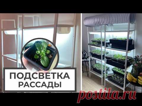 ПОДСВЕТКА РАССАДЫ своими руками 🌱💡 ЛАМПЫ для РАССАДЫ 💡🌱