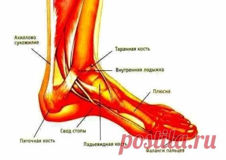 РАДИКУЛИТ ЗА 20 МИНУТ-ЛЕЧЕНИЕ

У японцев лечение поясницы - призыв один: греться!

Киотосский врач Мията Хикимочи учит самостоятельно справляться с болями в пояснице - радикулитом. Причем без специалистов по массажу, без растираний тигровой мазью и прочих медицинских премудростей.
Главной точкой приложения усилий Мията сэнсэй объявляет ахиллово сухожилие.

Вот так! Где пятки, а где радикулит! Но врач не шутит.

Мы прыгаем, бегаем, крутимся благодаря ахиллесову сухожилию.
Е...