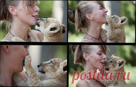 Тигр - звериный гороскоп