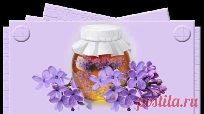 Как сварить варенье из сирени?.