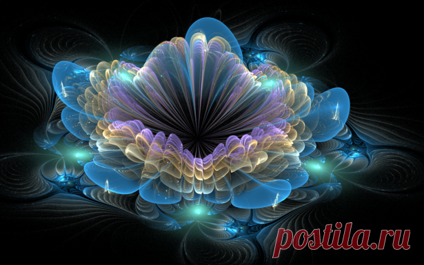 3d flowers by artist Luis | Beautiful pictures