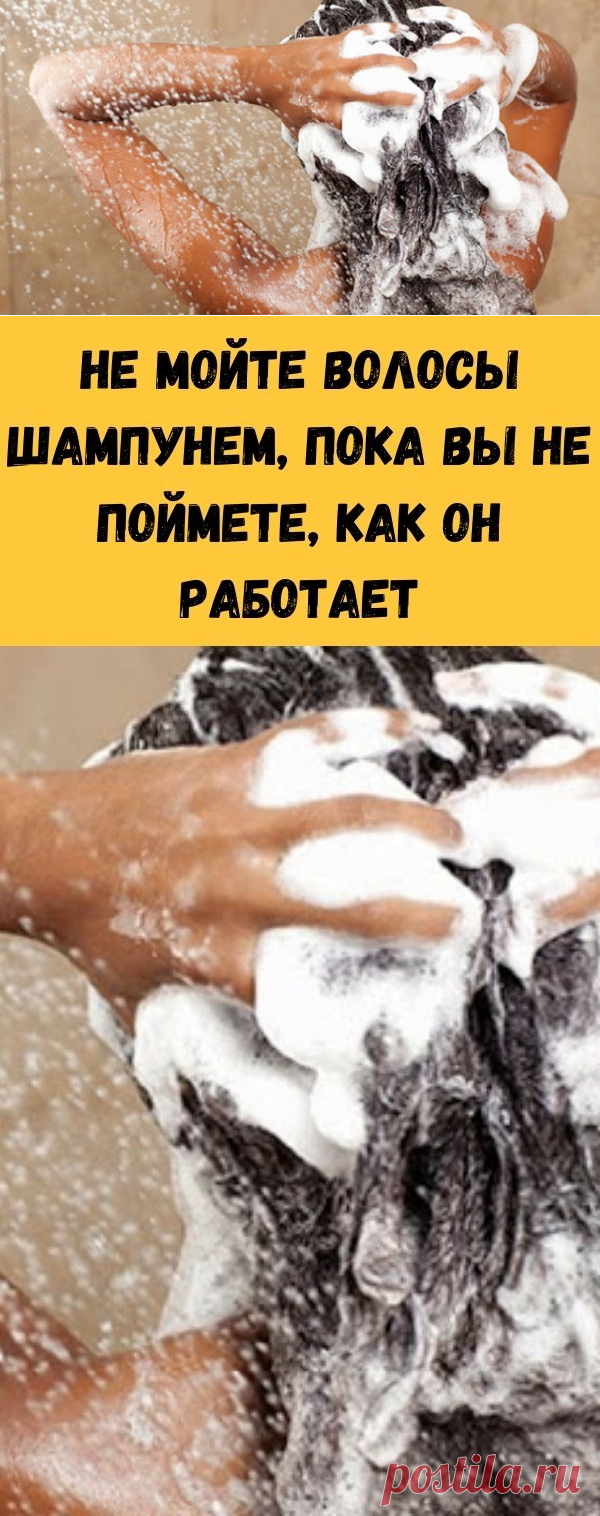 Не мойте волосы шампунем, пока вы не поймете, как он работает - Советы для тебя