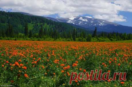 пейзажи горного алтая фото: 2 тыс изображений найдено в Яндекс.Картинках