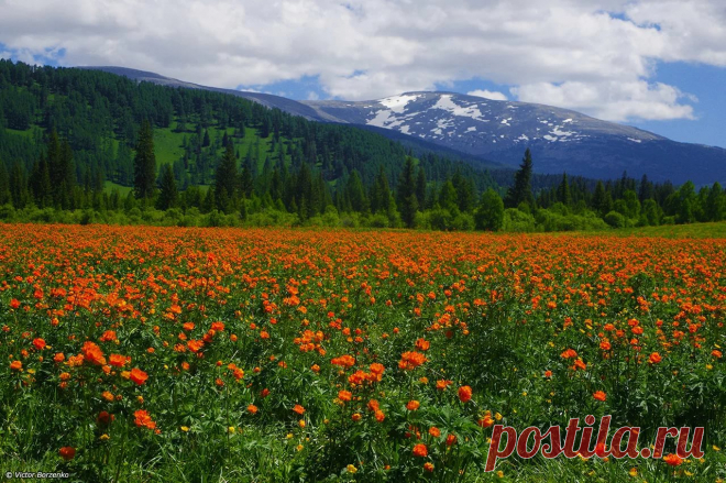 пейзажи горного алтая фото: 2 тыс изображений найдено в Яндекс.Картинках