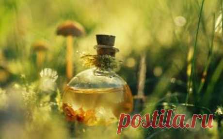 Полезные рецепты для омоложения | Делимся советами