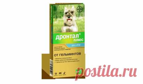 Продукты Дронтал® и Прококс® против гельминтов