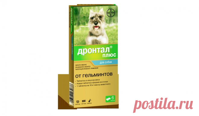 Продукты Дронтал® и Прококс® против гельминтов