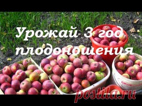 На заметку огороднику, садоводу, дачнику