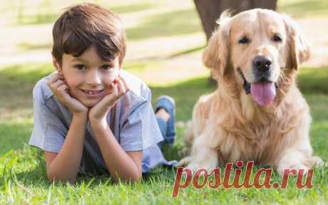 Дети и собаки: трогательные фото - Статьи - 1 год - 3 года - Дети Mail.Ru