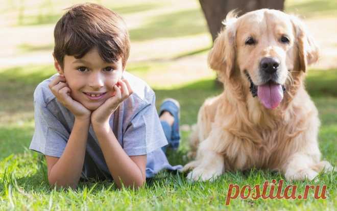 Дети и собаки: трогательные фото - Статьи - 1 год - 3 года - Дети Mail.Ru