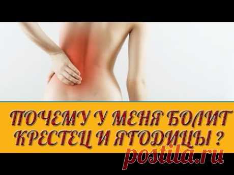 Почему может быть боль в крестце? | Доктор Евдокимов | Яндекс Дзен
