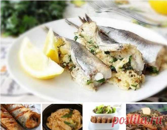5 рецептов вкусных блюд из недорогих видов рыбы Путассу, фаршированная брынзой ▬▬▬▬▬▬▬▬▬▬▬▬▬▬▬▬▬▬▬▬▬▬▬▬▬▬▬ Путассу - одна из самых недорогих рыб. Так сложилась, что путассу в основном покупают для домашних питомцев. И зря! Из этой рыбки можно...
