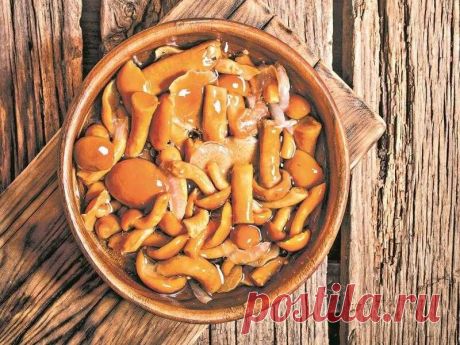 Грибы всегда получаются вкусно. Солим по классике | FORUMHOUSE | Дзен