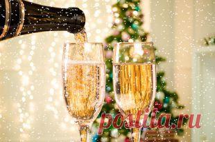 Зри в пробку. Как выбрать шампанское?