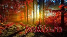 лучи солнца