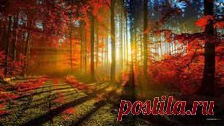 лучи солнца