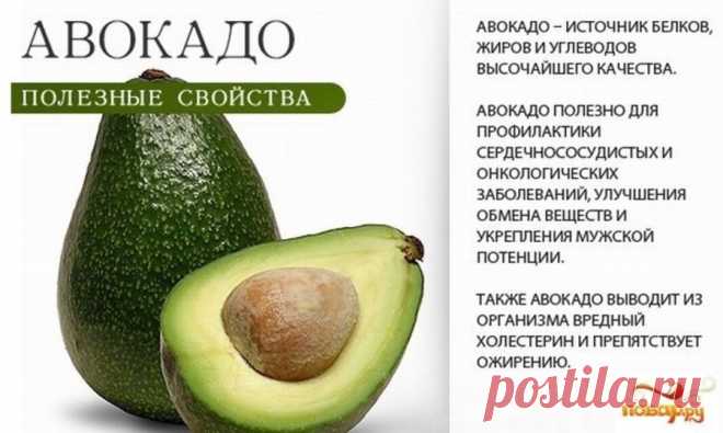 Авокадо полезные свойства