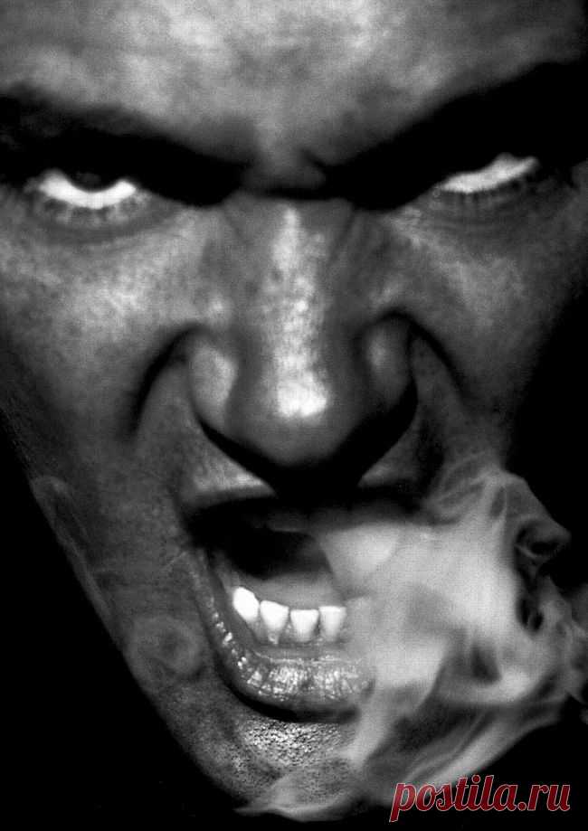 Манифест красоты и свободы Херба Ритца