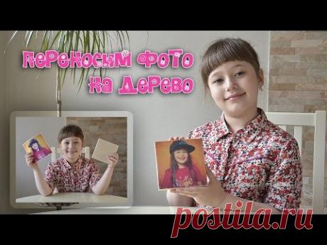 Переносим фото на дерево!