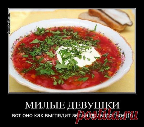 Нюша: Хочешь прожить счастливую, долгую семейную жизнь? Научись прощать, понимать, промолчать, когда надо, говорить правду и просто любить.