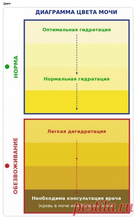ЖАРА «Может привести к тромбозу». Кардиолог назвал красные флаги во время жары | АиФ Кузбасс