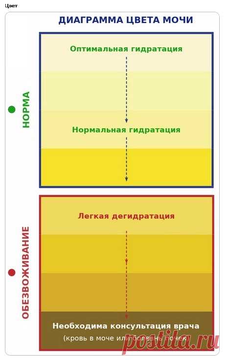 ЖАРА «Может привести к тромбозу». Кардиолог назвал красные флаги во время жары | АиФ Кузбасс