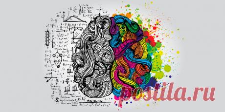 Биохакинг без таблеток: 7 способов взбодрить мозг и тело Семь природных биохаков, которые помогут вам улучшить самочувствие и зарядиться энергией без стимуляторов. Движение, сон, еда, вода, дыхание, холод и пищевые паузы. В статье рассматривается личный опыт автора: не факт, что у вас все сработает так же – применяйте с осторожностью.