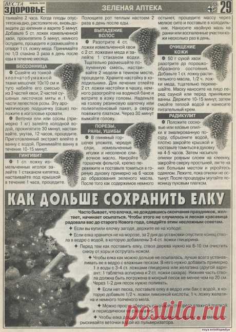 Вторая жизнь новогодней елки, 2 лист из 2х