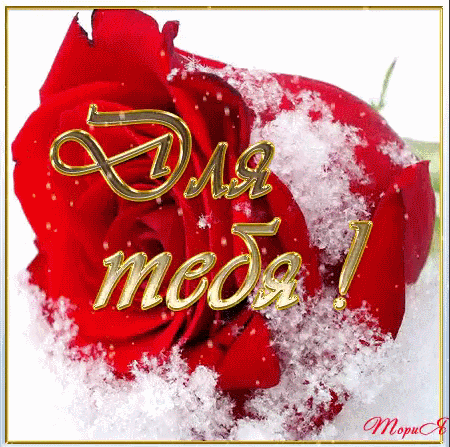 Мой Мир@Mail.Ru