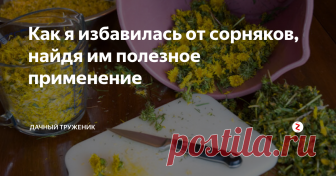 Как я избавилась от сорняков, найдя им полезное применение Как мне удалось 