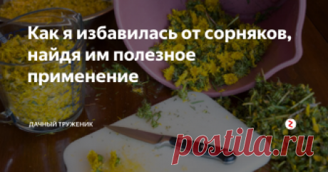 Как я избавилась от сорняков, найдя им полезное применение Как мне удалось "подружиться" с сорняками и извлечь максимум пользы из сорных растений.