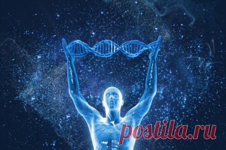 Интересные факты из мира генетики