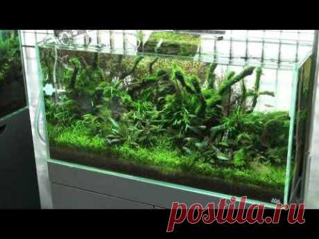 ADA Gallery - January 2011 - YouTube