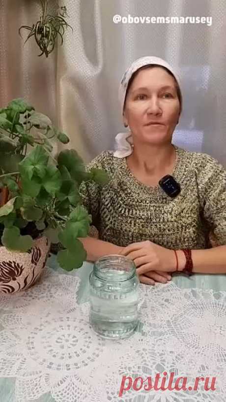 От мошек в цветах