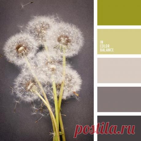 Цветовые сочетания
Холодные оттенки