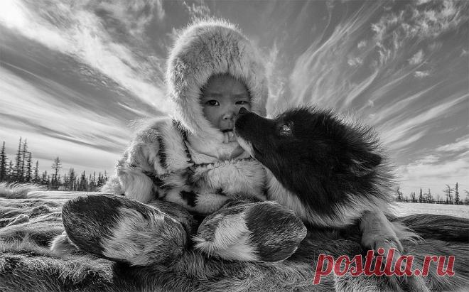 Лучшие фото «Самой красивой страны»