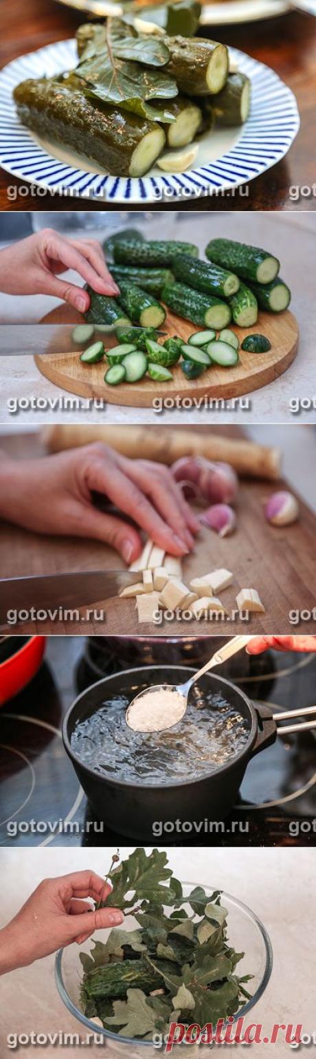Малосольные огурцы с дубовыми листьями. -рецепт / Готовим.РУ