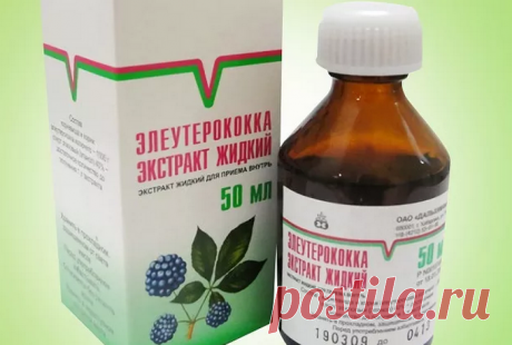 Не болеем, тонизируемся, молодеем - все с помощью элеутерококка! - Что хочет женщина