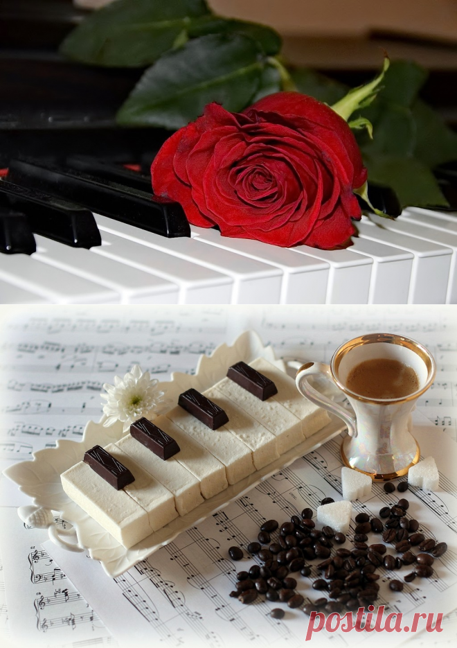 Музыкальные фотонатюрморты