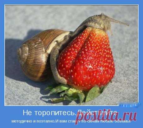 (+1) тема - Хотите счастья? | ВСЕГДА В ФОРМЕ!