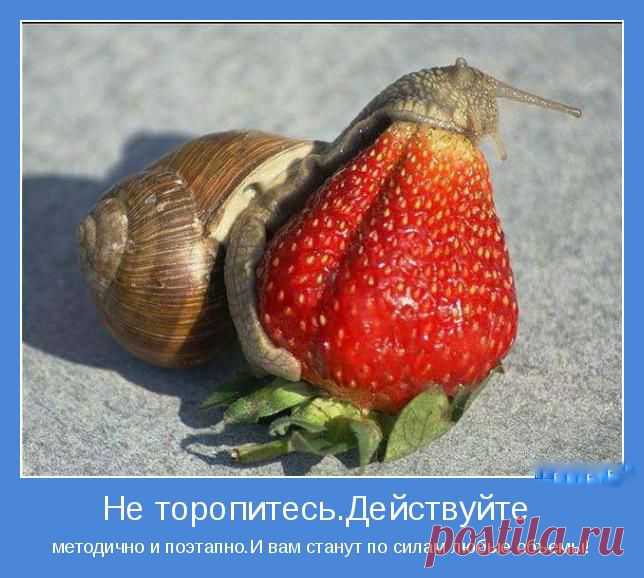 (+1) тема - Хотите счастья? | ВСЕГДА В ФОРМЕ!