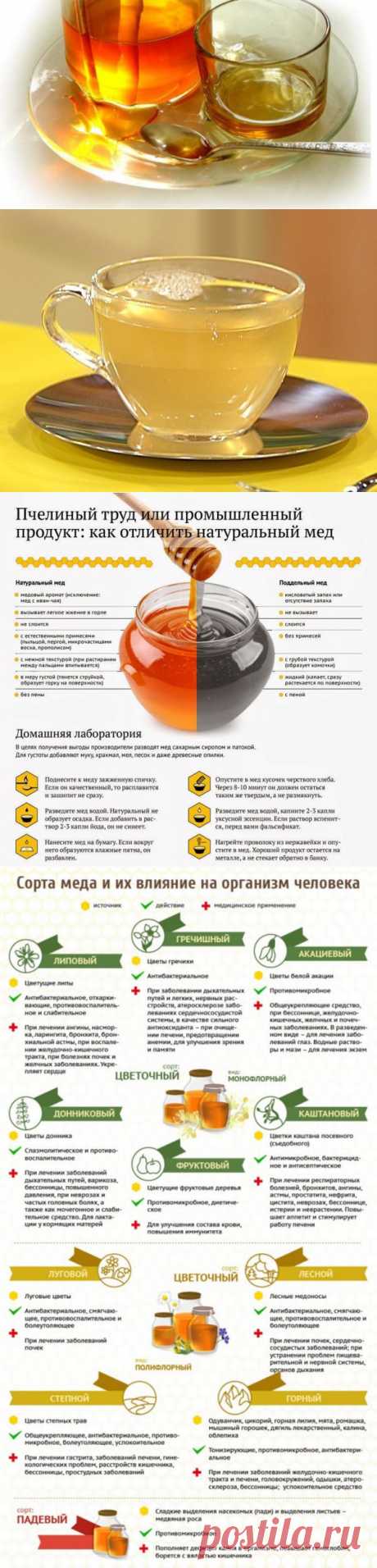 Удивительно полезные свойства меда и холодной воды
