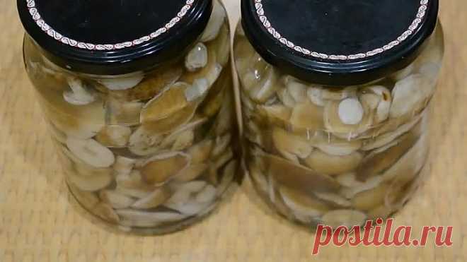 Маринованные грибы на зиму! Вкусная заготовка порадует зимой!