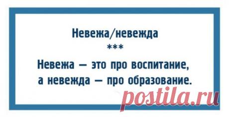 10 пар слов, которые никогда не перепутают грамотные люди - ЯПлакалъ