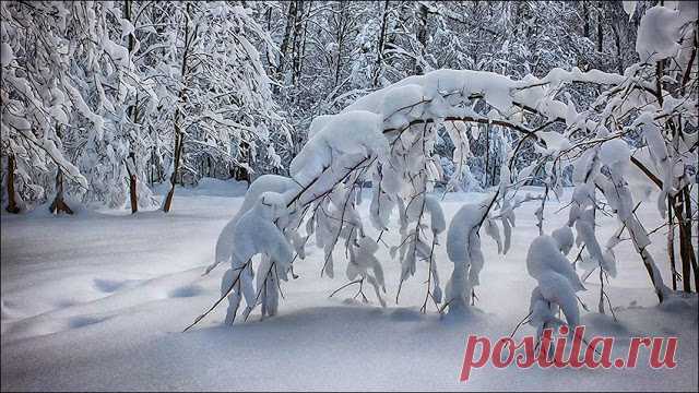 В поисках Берендеева царства. Фотопрогулка