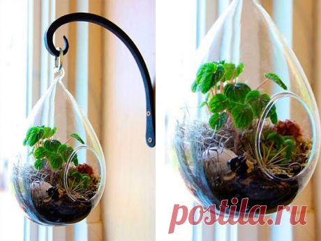 (46) Одноклассники