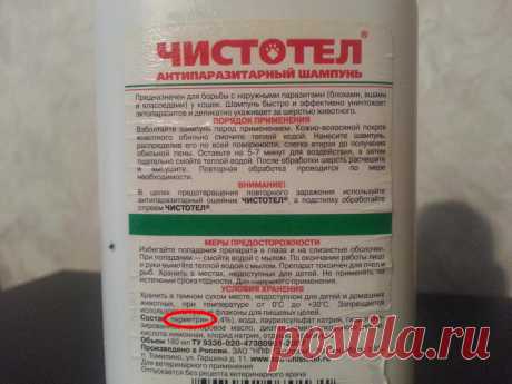 Ради смеха обработала кусты, поражённые тлёй, кошачьим шампунем от блох. Результат меня удивил | Урожайная грядка ❀ | Яндекс Дзен