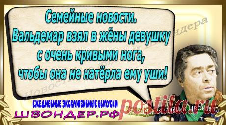 Новости от дядьки Швондера, классный анекдот, смешная фраза, веселая фенечка, каламбур, афоризмы, смех, забавные картинки, сложный юмор, непонятные анекдоты, цитаты из интернета, мэмчик, развлечение, Швондер говорит, Шариков, Собачье сердце, улыбка до ушей, веселый сайт, забава, смешарик, мем, потеха, картинка со смыслом, фарс, наколка, мемасик, шутка, юмор, анекдоты в картинках, юмор в картинках, свежие приколы, Швондер, смешная фишка, улыбка, интересное в сети, смех, швондер.рф, #швондер.рф