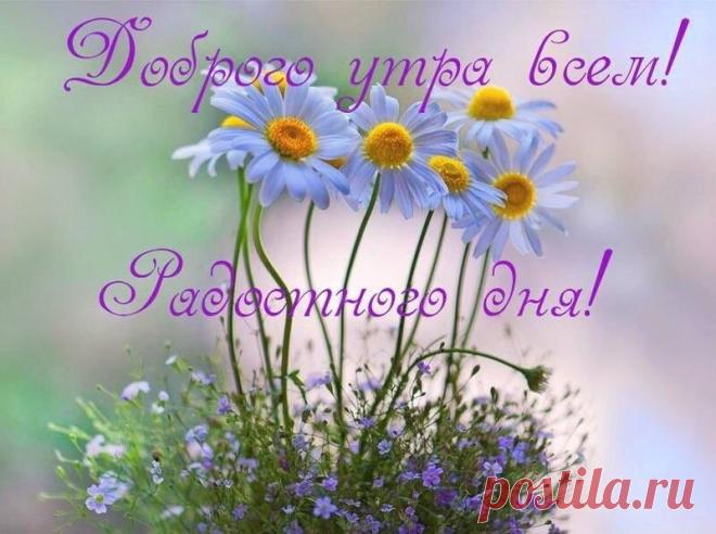 (1) Мой Мир@Mail.Ru